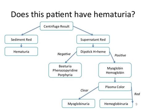 GEMC: Evaluation of Hematuria | Emergency medicine, Evaluation, Hematology