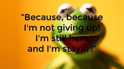 9 Inspirational Quotes from Kermit the Frog! (8/17/15)* | NineFrogs