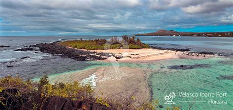 Galapagos Adventure Tours - GreenGo Travel