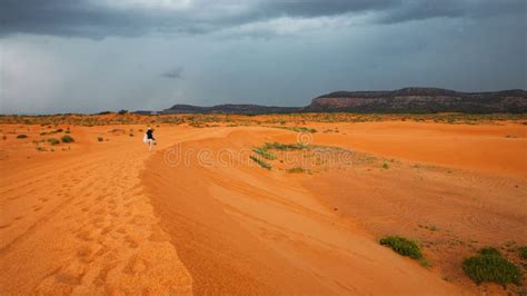 Coral Pink Sand Dunes State Park Stock Photo - Image of destination ...