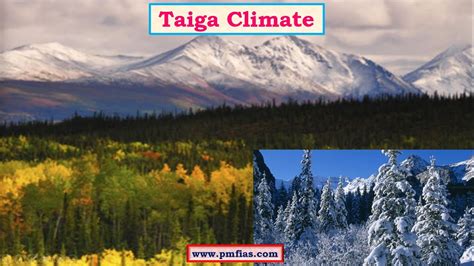 Taiga Biome Climate