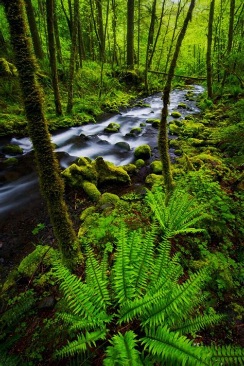 Waterfall Photography Tips