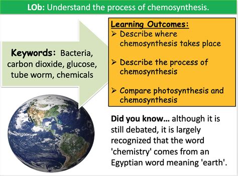 Chemosynthesis | Teaching Resources