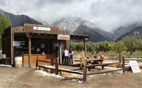 PHOTOS: Snow Line in Oak Glen | Banning, CA Patch