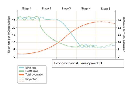 Demographic transition model Diagram | Quizlet