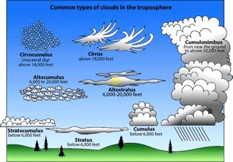 Clouds | Center for Science Education