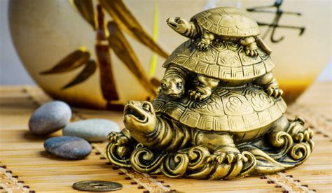 Feng Shui tortoise: Vastu tips to bring wealth and luck