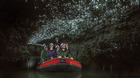 glow-worm-cave-tours-waitomo-15 | Must Do New Zealand