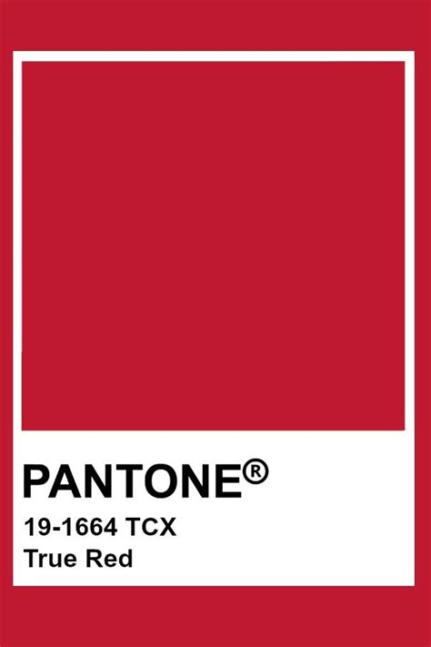 Pantone True Red | Pantone red, Pantone, Pantone tcx