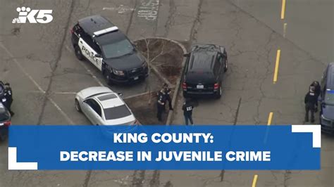 King County: decrease in juvenile crime - YouTube