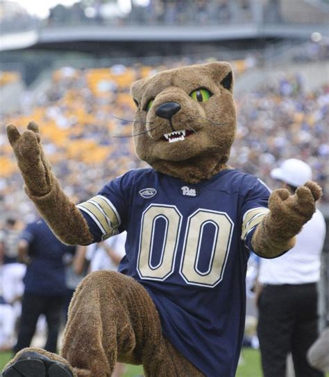 The life and times of ROC the mascot - The Pitt News