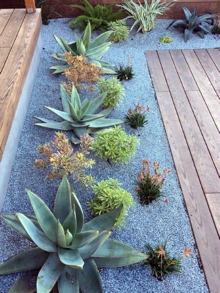 Transform Your Space with Creative Desert Landscaping Designs