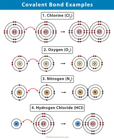 Covalent Bond: Definition, Types, and Examples