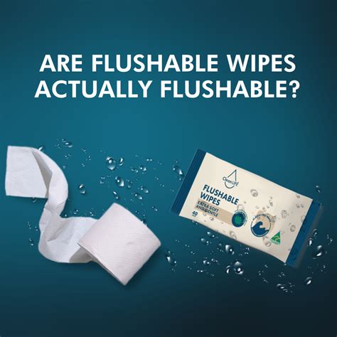 Are flushable wipes actually flushable? | CleanLIFE