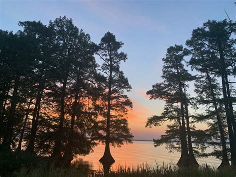 Reelfoot Lake State Park - Shana the Shasta