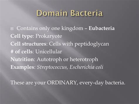 PPT - Domain Bacteria PowerPoint Presentation, free download - ID:1819307