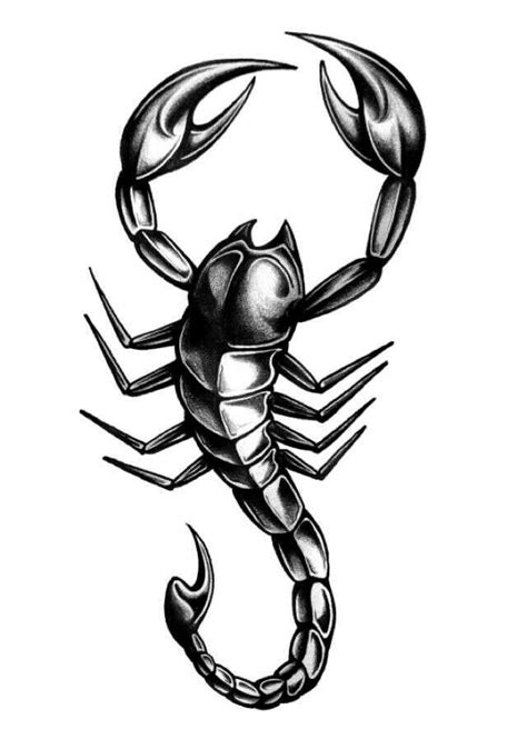 Scorpion Cartoon Drawing at GetDrawings | Free download