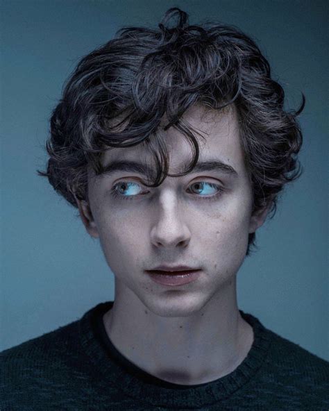 « Timothee Chalamet » | Portretten tekenen, Portret, Fotografietips