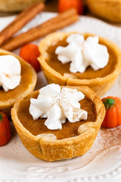 20 Of the Best Ideas for Mini Pie Crusts – Best Round Up Recipe Collections