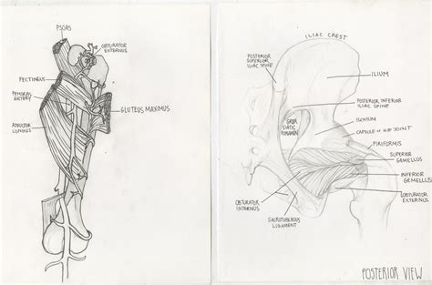 Forensic Art Portfolio — SARAH JAWORSKI