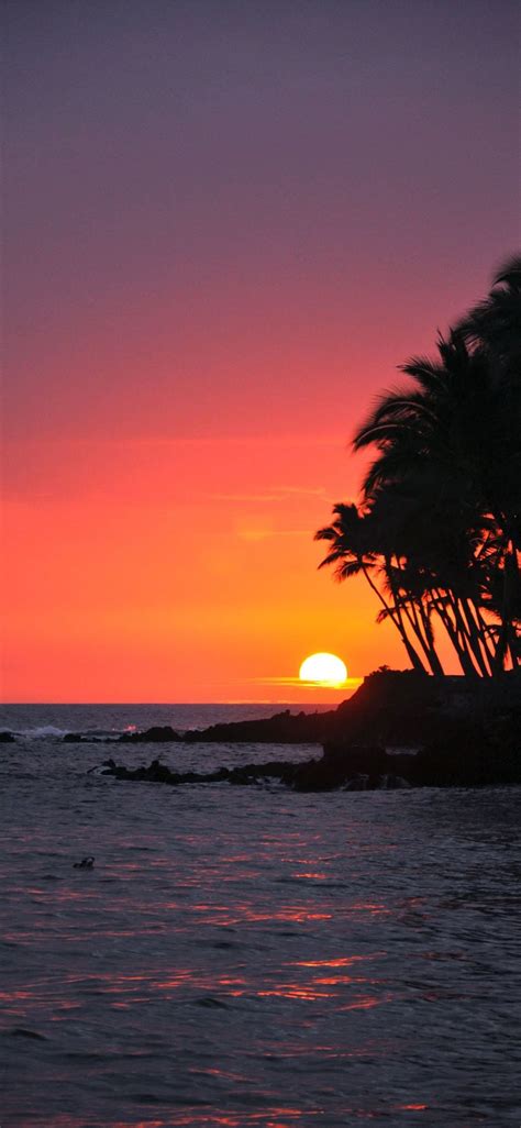 Big Island Sunset Hawaii #hawaii #trends #iPhone11Wallpaper | Sunset ...