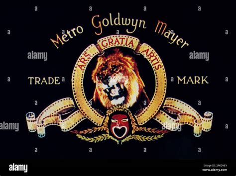 The trade mark logo by METRO GOLDWYN MAYER ( MGM ) Hollywood Studio ...