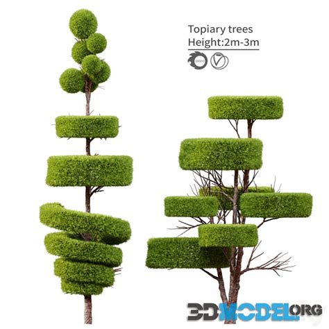 3D Model – Topiary trees