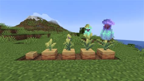 How to Get Torchflower and Pitcher Plant in Minecraft | Beebom