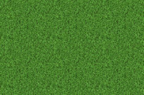 Seven Free Grass Textures or Lawn Background Images | www ...