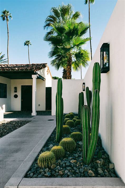 "Cactus Garden In Palm Springs Residence" by Stocksy Contributor ...