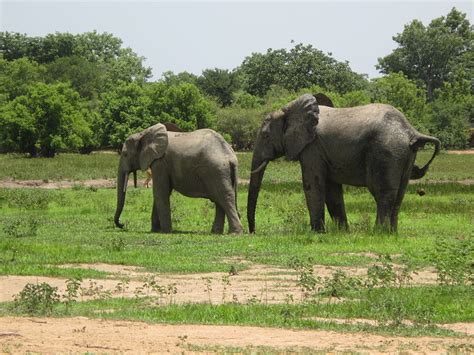 National Parks & Reserves in Ghana - IDEAS For Us