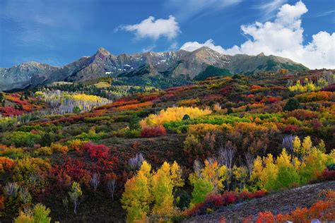 Dallas Divide, Colorado - Fall Colors Photograph by Richard Norman ...