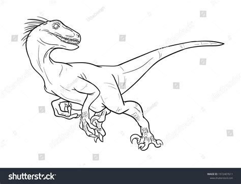 Raptor Head Drawing