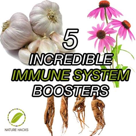 5 Incredible Immune System Boosters