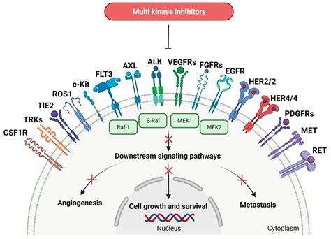 Tyrosine Kinase Inhibitors