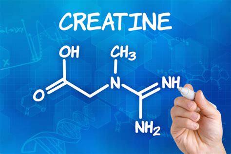 Best Type of Creatine | Powder City