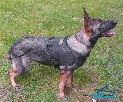 Buy German Shepherd Strong Dog Harness with Control Handle - H6