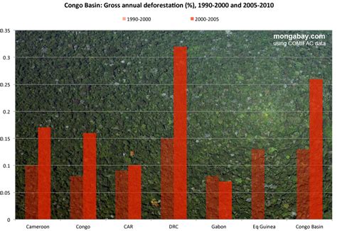 Deforestation increases in the Congo rainforest