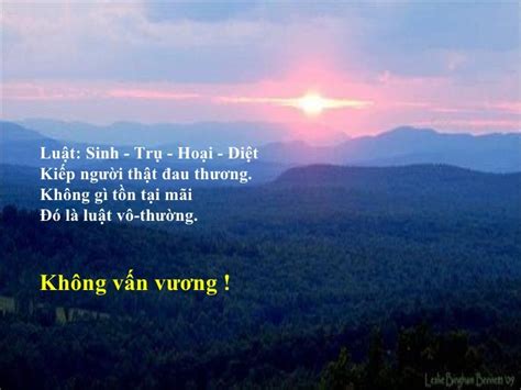 Vo thuong tho Minh Luong-TMS- hoa tau -Bui Phuong