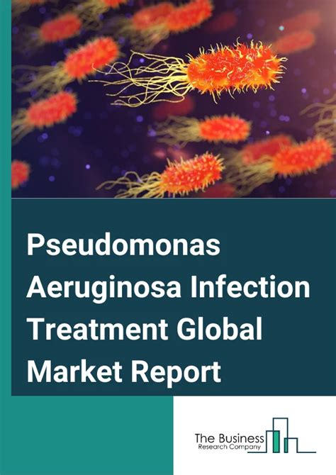 Pseudomonas Aeruginosa Infection Treatment Market Share Report 2024 And ...