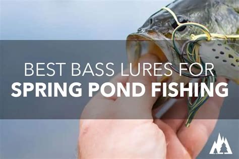 5 Best Bass Lures For Spring Pond Fishing - Rep The Wild