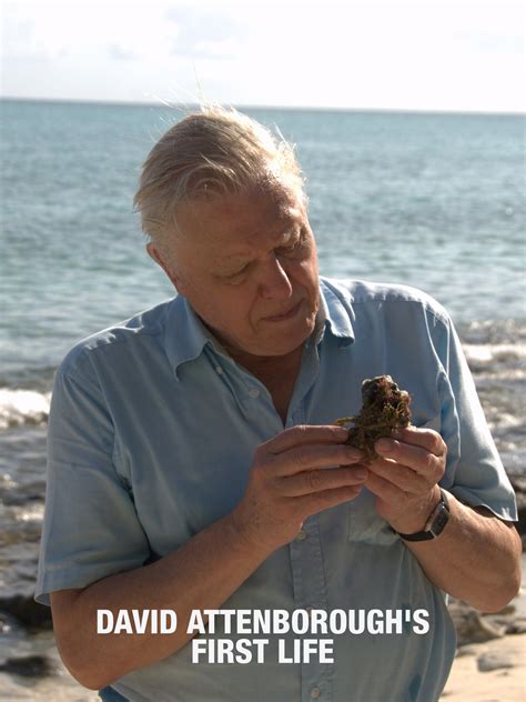 David Attenborough's First Life Pictures - Rotten Tomatoes