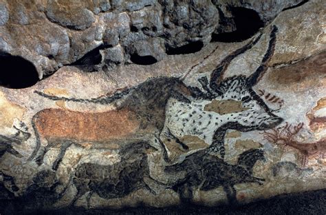 Stone Age Cave Paintings | Cave Paintings Facts | DK Find Out