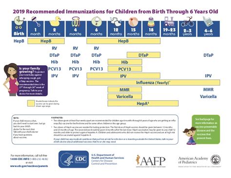 Adult Immunization Schedule Chart