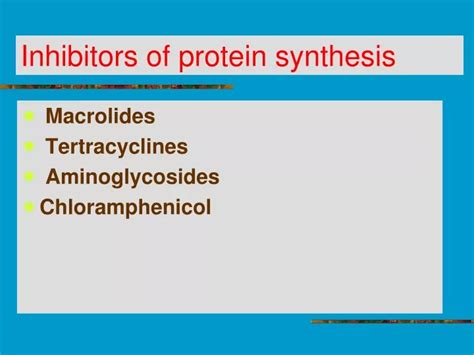 PPT - Inhibitors of protein synthesis PowerPoint Presentation, free ...