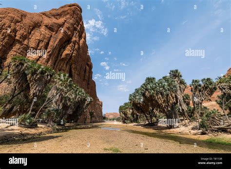 Waterhole, Ennedi Plateau, UNESCO World Heritage Site, Ennedi region ...