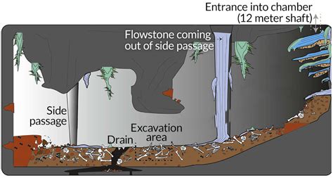 Pieces of Homo naledi story continue to puzzle