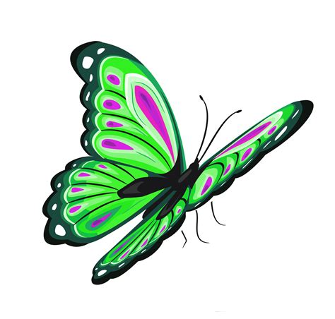 Free Green Butterfly Clipart, Download Free Green Butterfly Clipart png ...