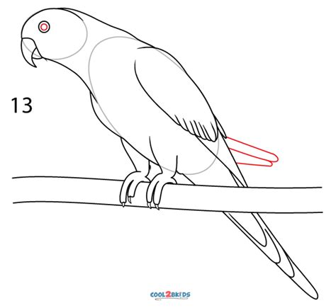 How To Draw a Parrot (Step by Step Pictures)