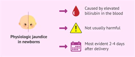 What is jaundice in the baby?